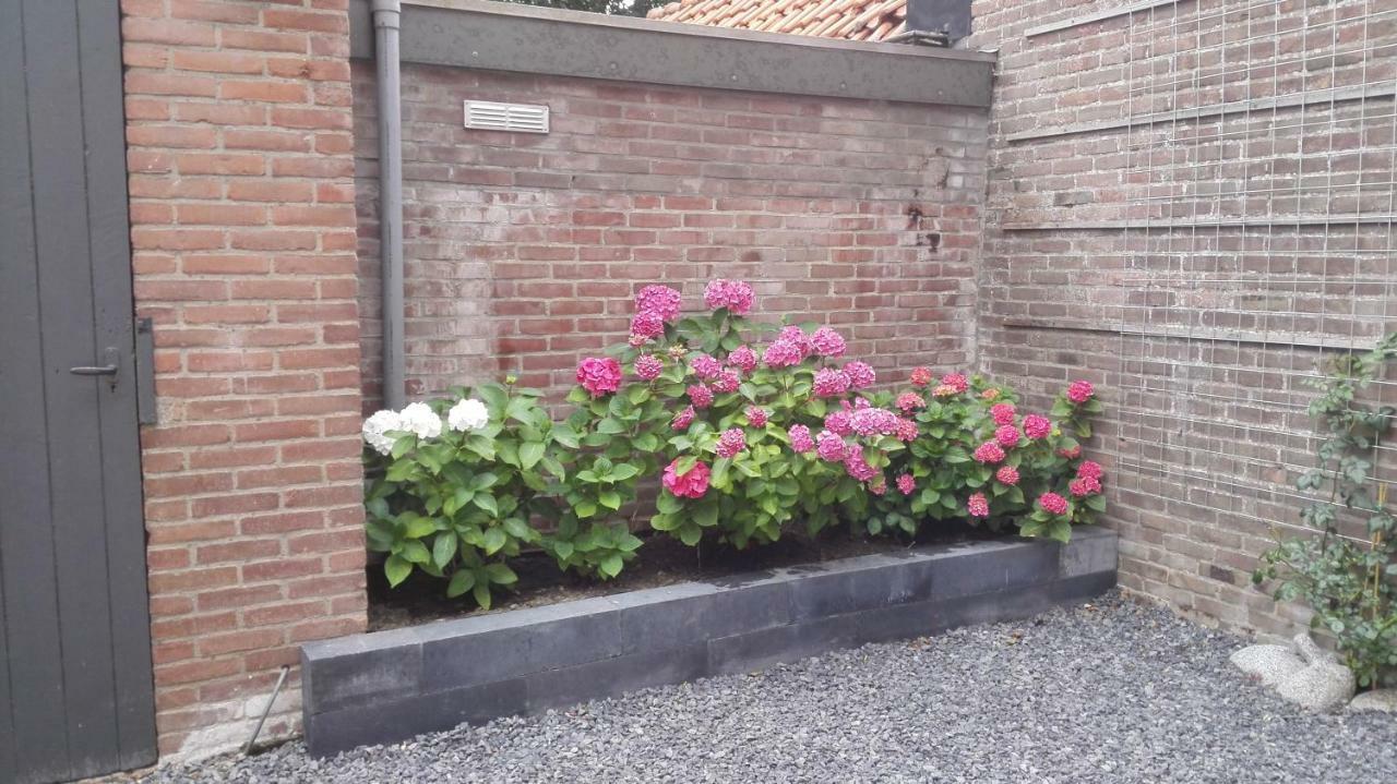 Bed and Breakfast De Notenbalk Aan Zee Vlissingen Exterior foto